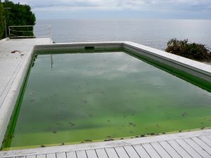 tratamento de piscina com algicida