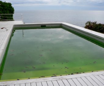 tratamento de piscina com algicida