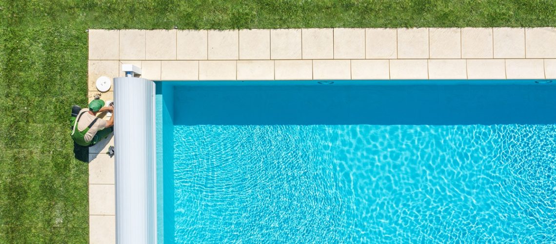 Insetos na Piscina como prevenir uma infestação e limpar