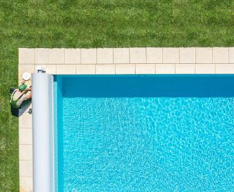 Insetos na Piscina como prevenir uma infestação e limpar